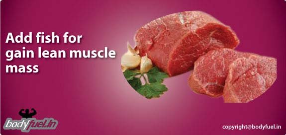 Fish Nutrition